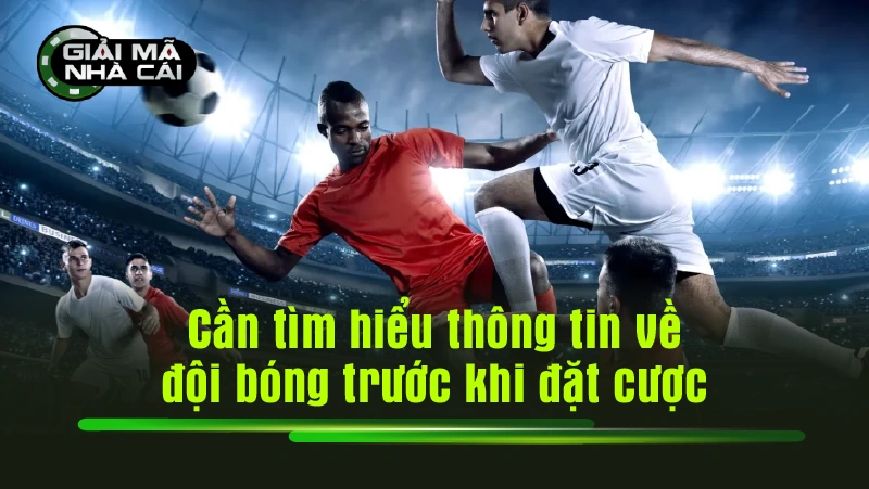 Cần tìm hiểu thông tin về đội bóng trước khi đặt cược