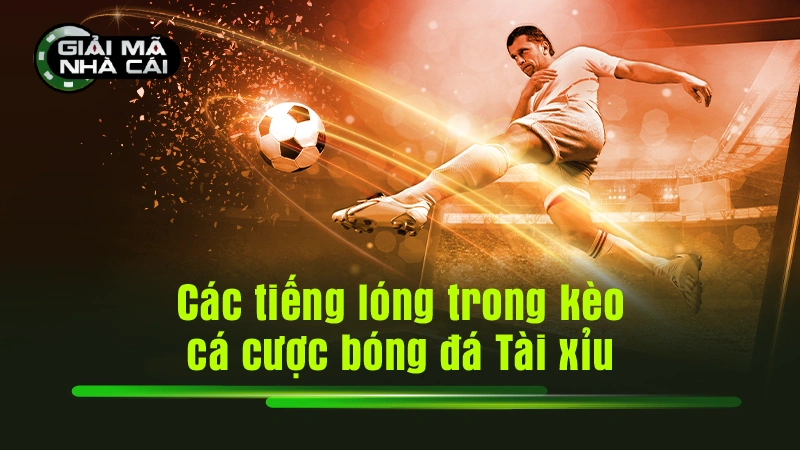 Các tiếng lóng trong kèo cá cược bóng đá Tài xỉu
